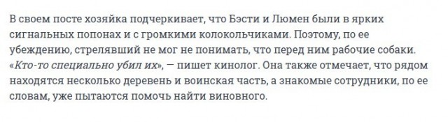 Неизвестный застрелил двух собак-спасателей поискового отряда "ЛизаАлерт" в Псковской области