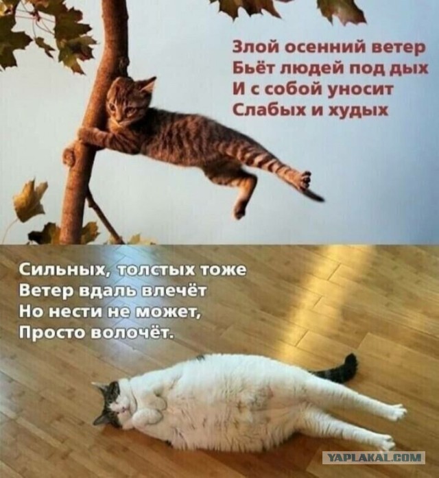 Россиянка слишком много ходила в отпуске и буквально «сломала» обе пятки