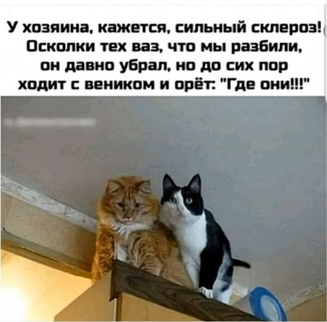 Вторника картинки