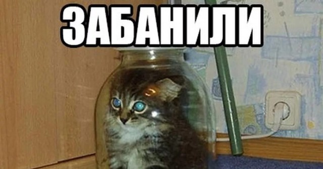 2026 строк обо всём