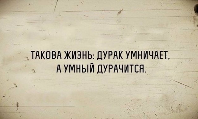 Веселые картинки в понедельник (08.06)