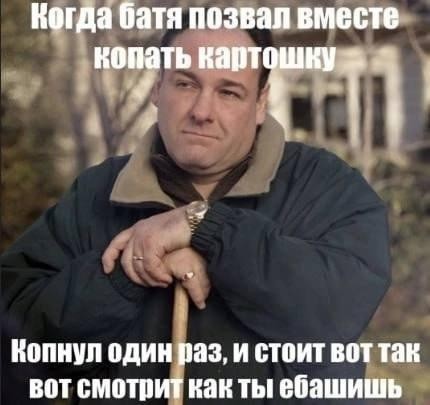 Картинки для деградации 239 (разной степени свежести)
