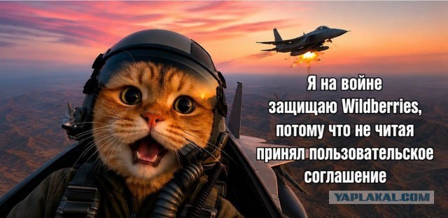 Отозвать пользовательское соглашение