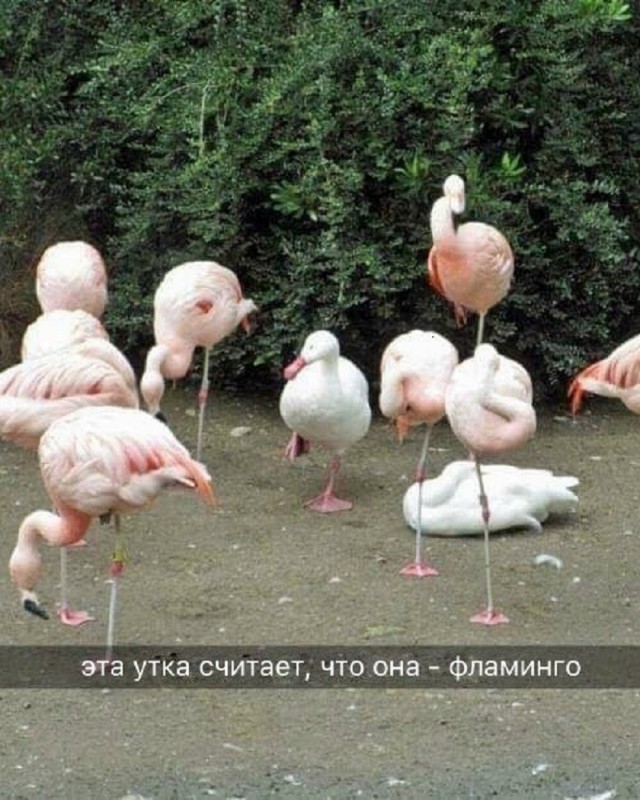 Так себе картинки 27.07.26