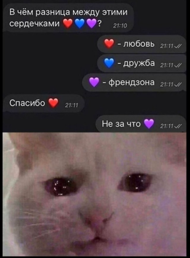 Веселое настроение в картинках 16.08.26