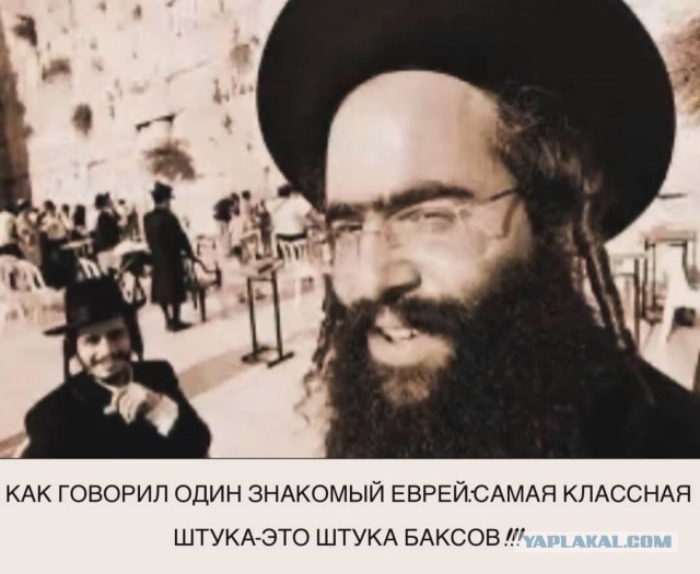 Веселые картинки в пятницу (21.08)