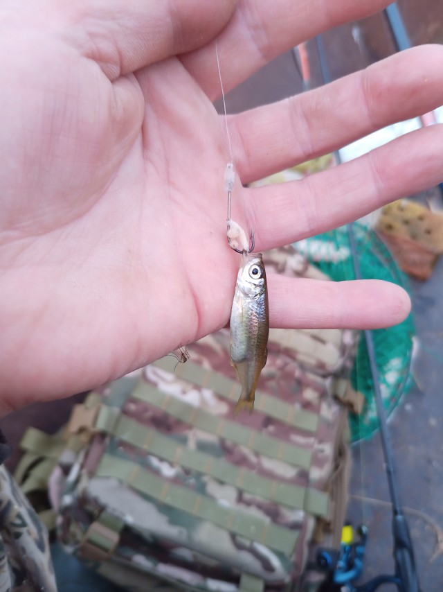 Вытащил рыбу своей мечты