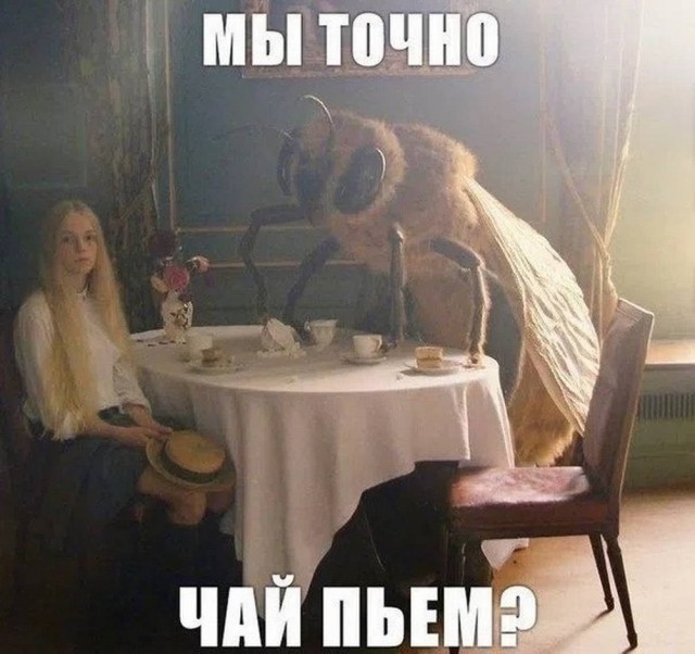 Картинки для деградации 297 (разной степени свежести)