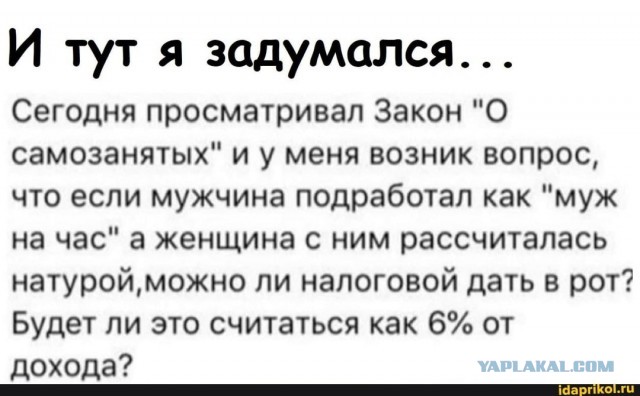 Порноактриса Ева Эльфи и её муж задолжали ФНС почти 900 тысяч