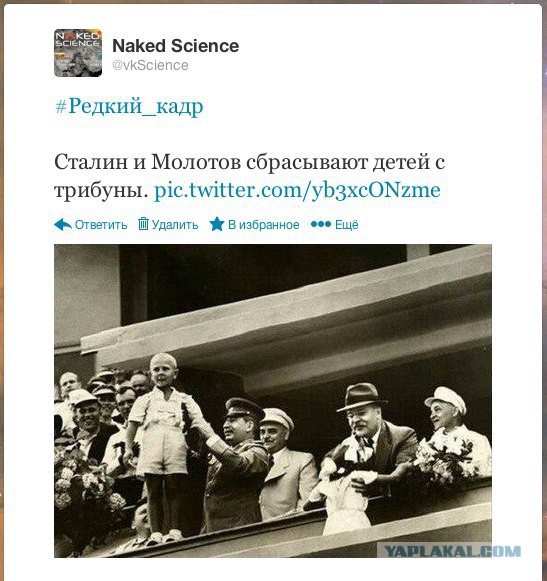 Редкий кадр