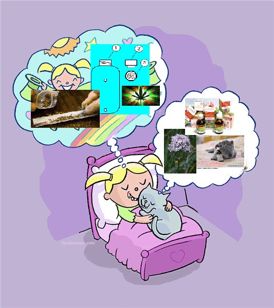 О чем мечтают котики