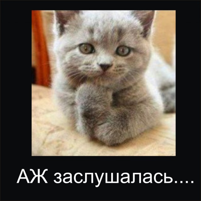 Лицемерие