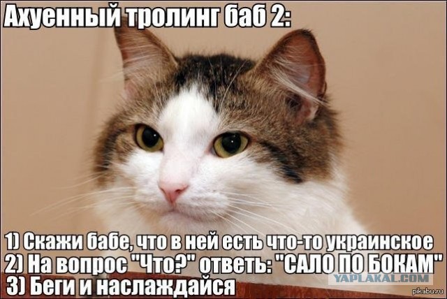 что там у хохлов?