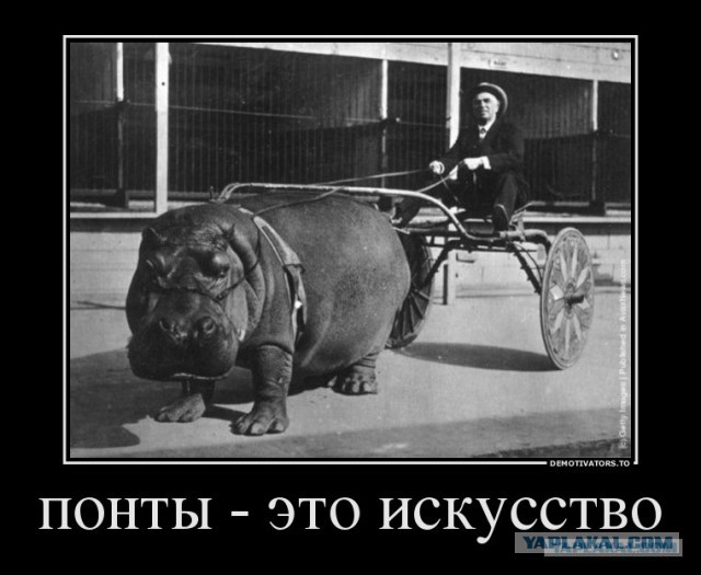 Хорошая машина попала в плохие руки