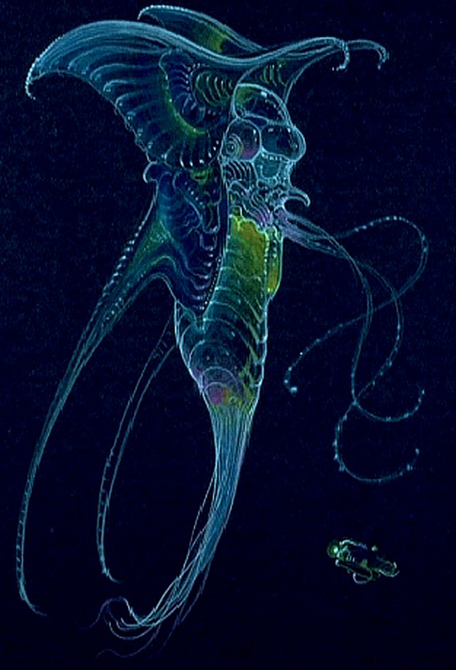 Инопланетяне, разумные и не очень. Концепт арт