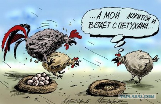 Картинки из сети