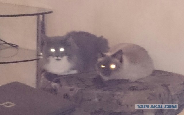 Каждый третий алкоголик