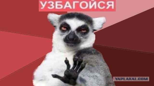 Свежая подборка прикольных картинок