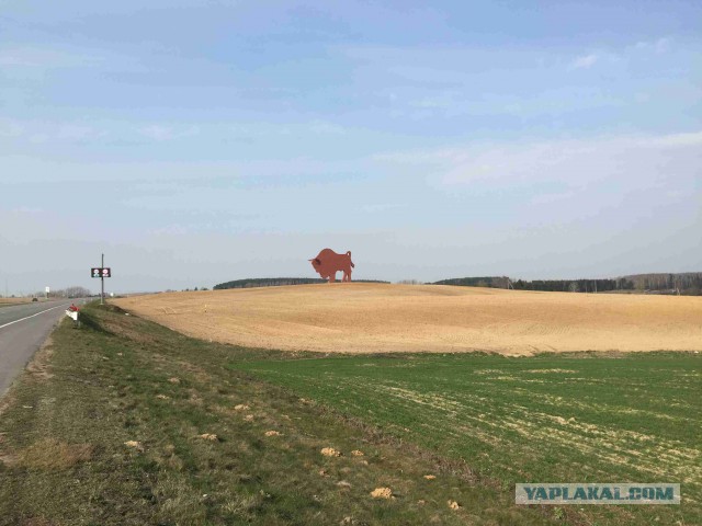 Поездка в Беларусь
