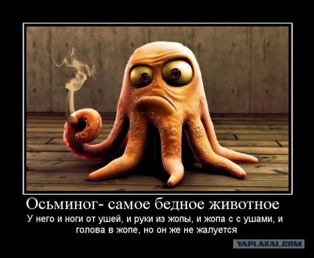 Демотиваторы на выходные