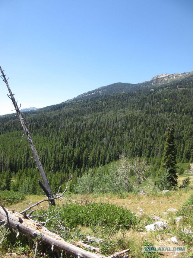 Деревенская Америка - 2