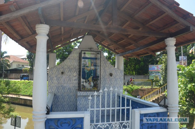 Шри Ланка