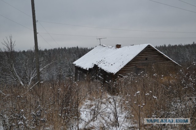 Полная Чухлома