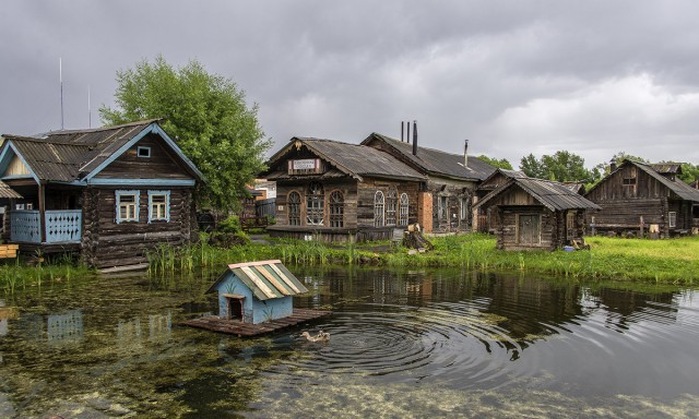 Моменты, запечатлённые на фото и просто позитив 5
