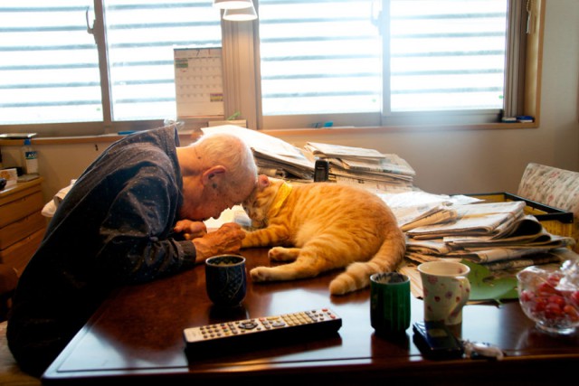 Японка вернула своего дедушку к жизни, подарив ему котенка