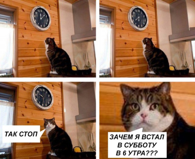 Забавные картинки