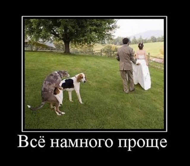 Картинки для настроения в пятницу.