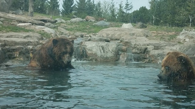 Просто Природа