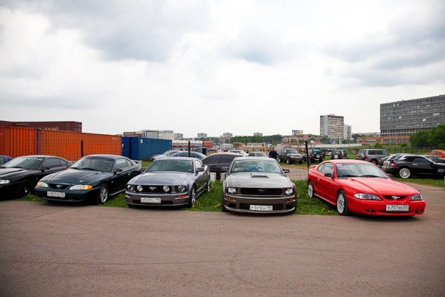 ДР mustang club