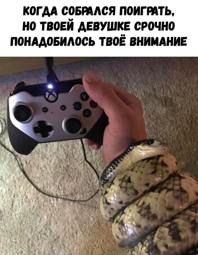 Прикольные картинки абавсём