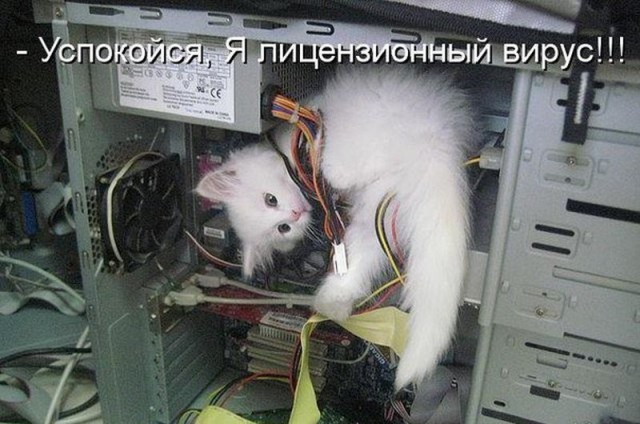 Картинки по-приколу