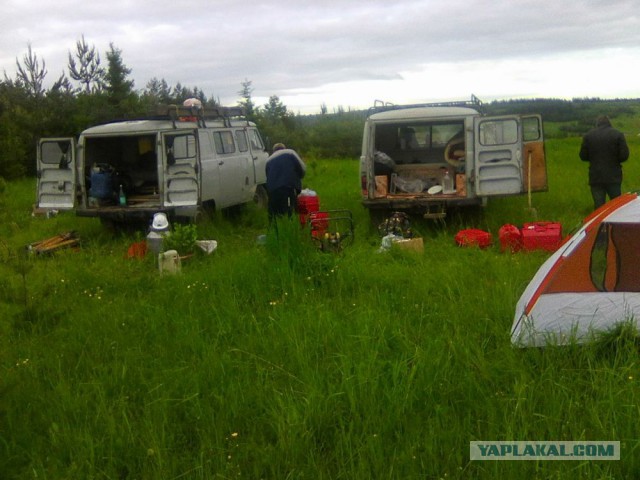 Командировка. В леса