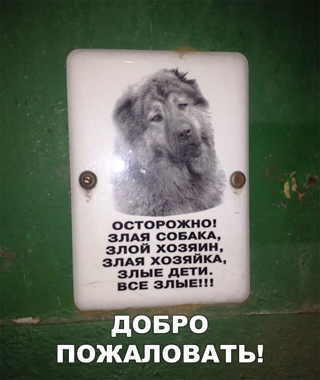 Прикольные надписи и объявления