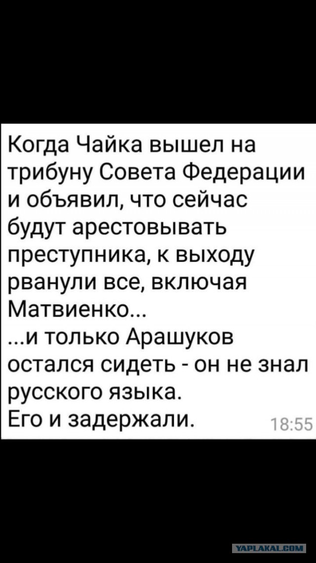 Анекдоты, соц-сети и картинки с надписями