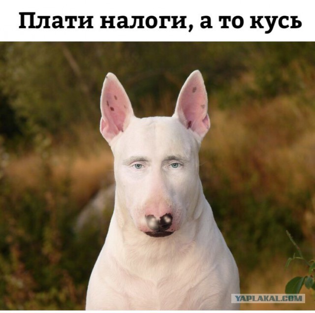 Китайская налоговая реформа