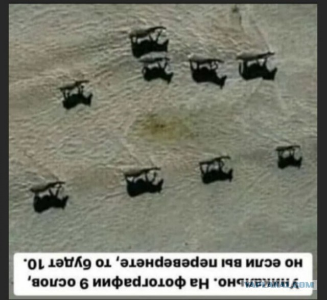 Бредзона