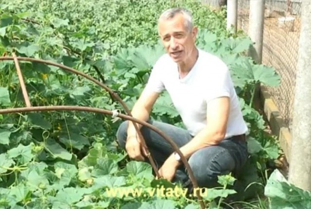 Камни и Минералы - Влияние на людей и сосуществование с ними