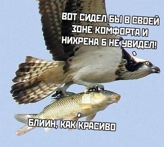 Немного картинок для настроения 14.04.20