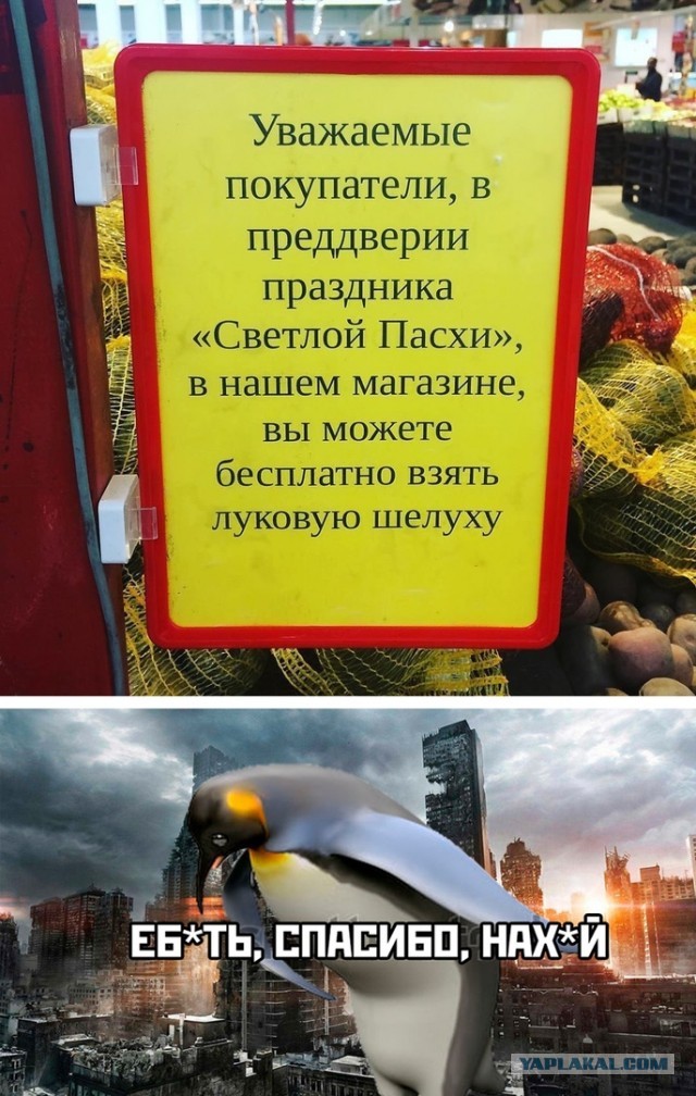 Несколько картинок