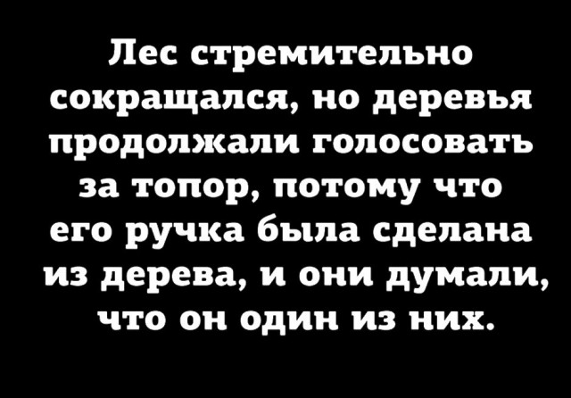 Мышь доказала, деньги не главное