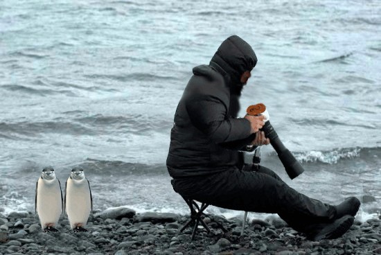 Внимательный фотограф