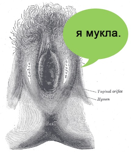 МуклоЖаба на ЯПе