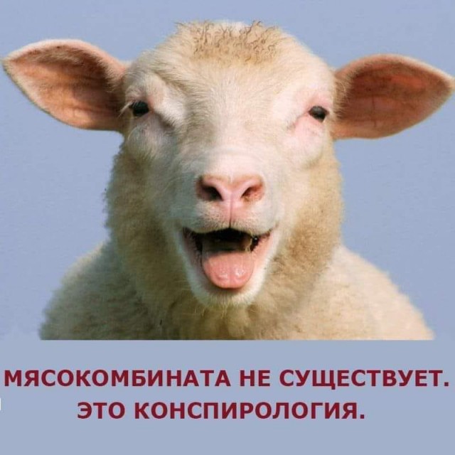 Спутник V: вакцинация с летальным исходом?