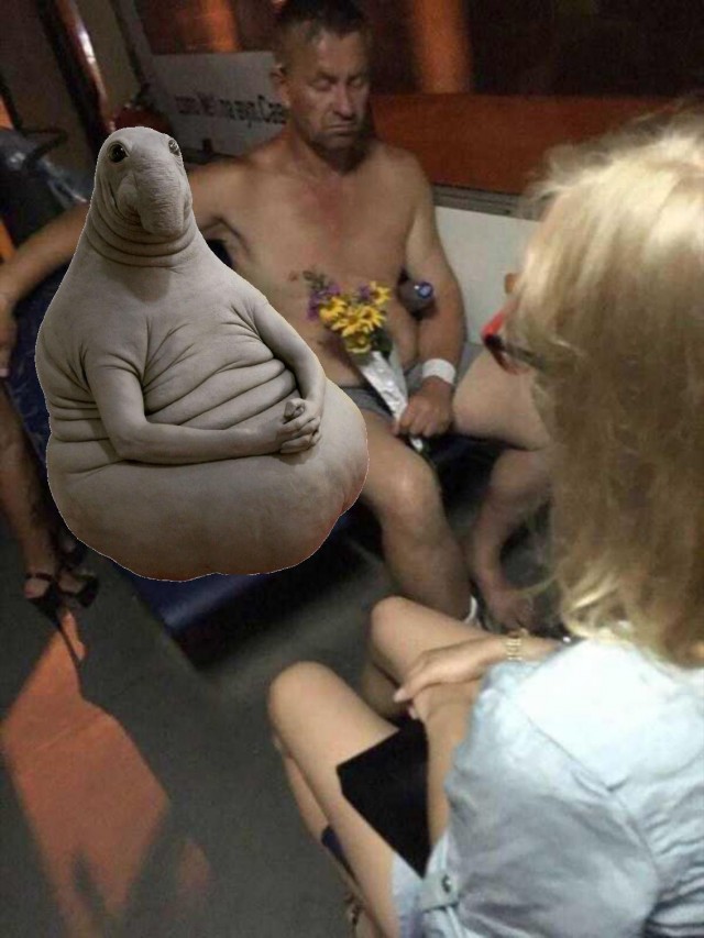 "Невозмутимая пассажирка"