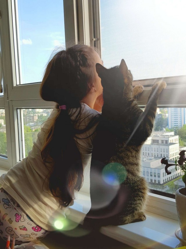 Моя красотка