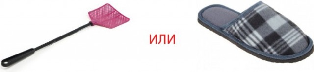 В постели с котом